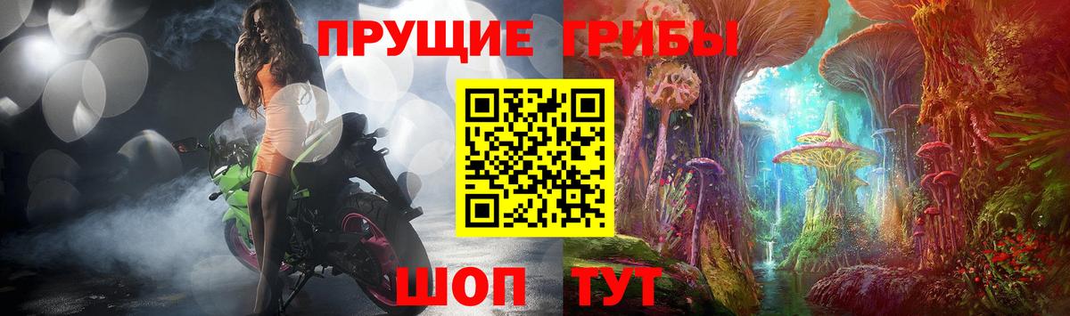Псилоцибиновые грибы Cubensis  Вход с VPN  Москва  Псилоцибиновые грибы мицелий 